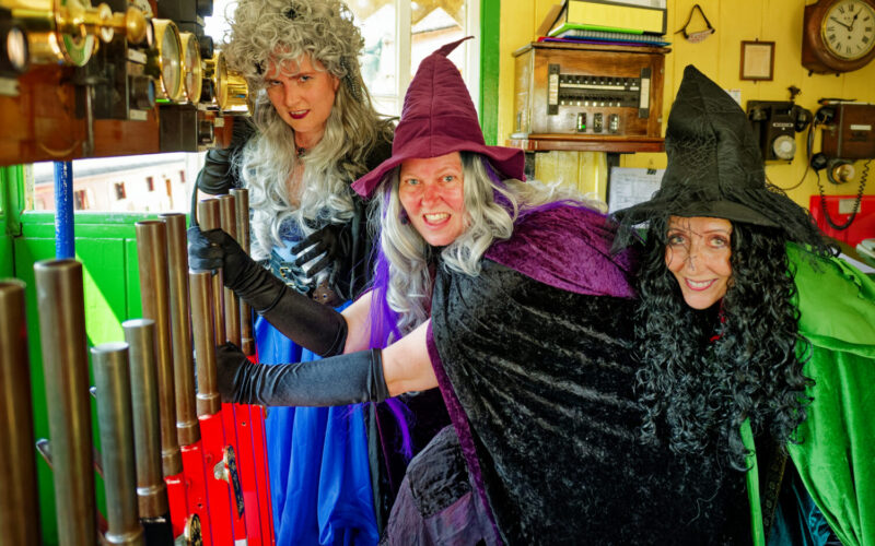 halloween witches of watercress woods