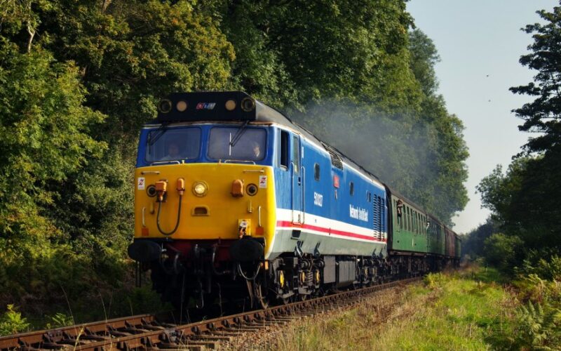 Diesel Gala - Lion