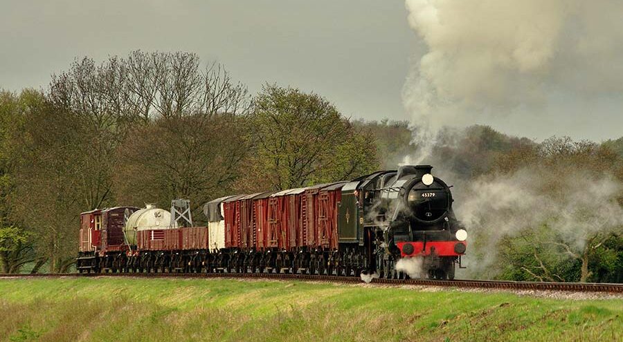 Wagons - Freight Train - Stephen Morley