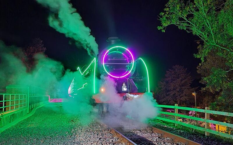 Watercress Line Steam Illuminations